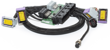 Load image into Gallery viewer, ECU Master Fiesta ST Mk6 EMU Black Plug&#39;n&#39;Play ECU Kit